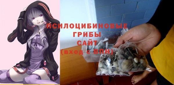PSILOCYBIN Зерноград
