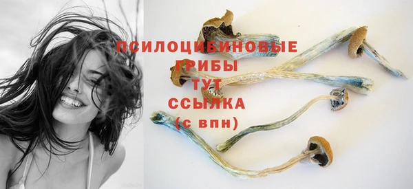 PSILOCYBIN Зерноград